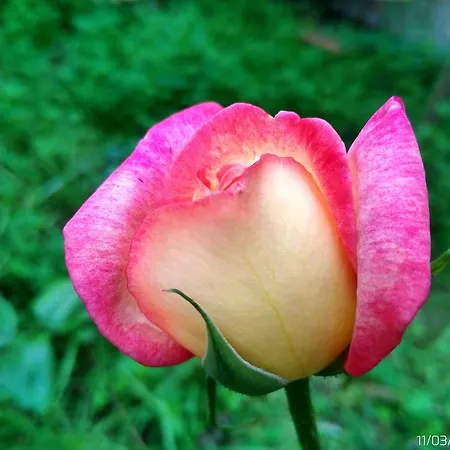 住宿加早餐酒店 Gottardo 蒙塞拉托