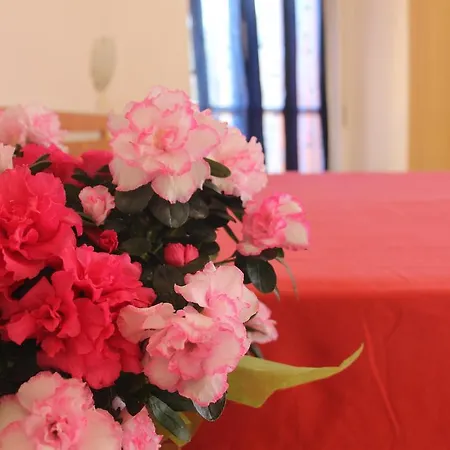 Gottardo 3* 蒙塞拉托