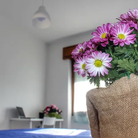 Bed & Breakfast Gottardo